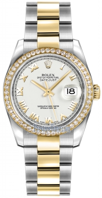 116243 White Roman Oyster