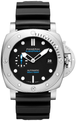 PAM01596
